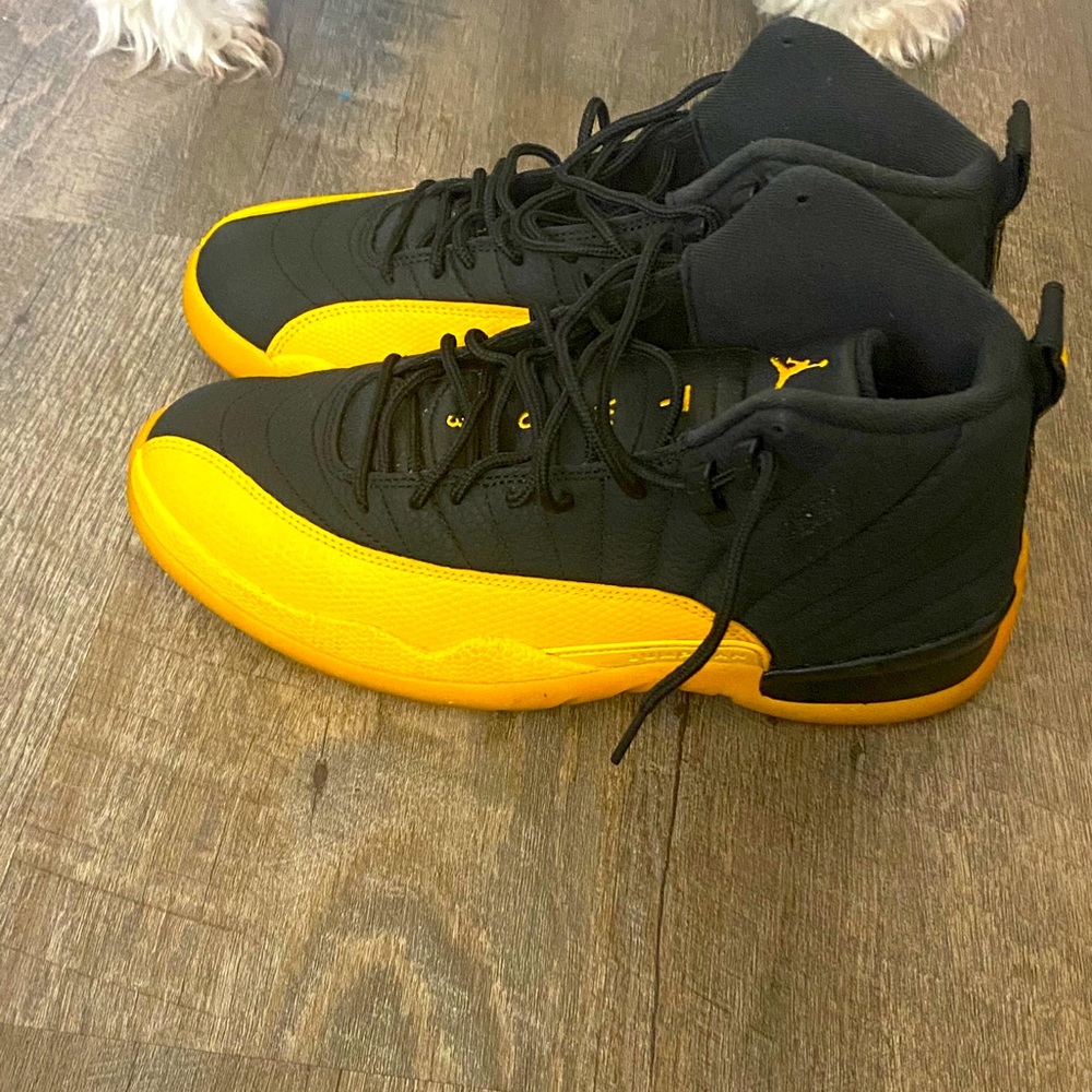 Jordan size 9 12s